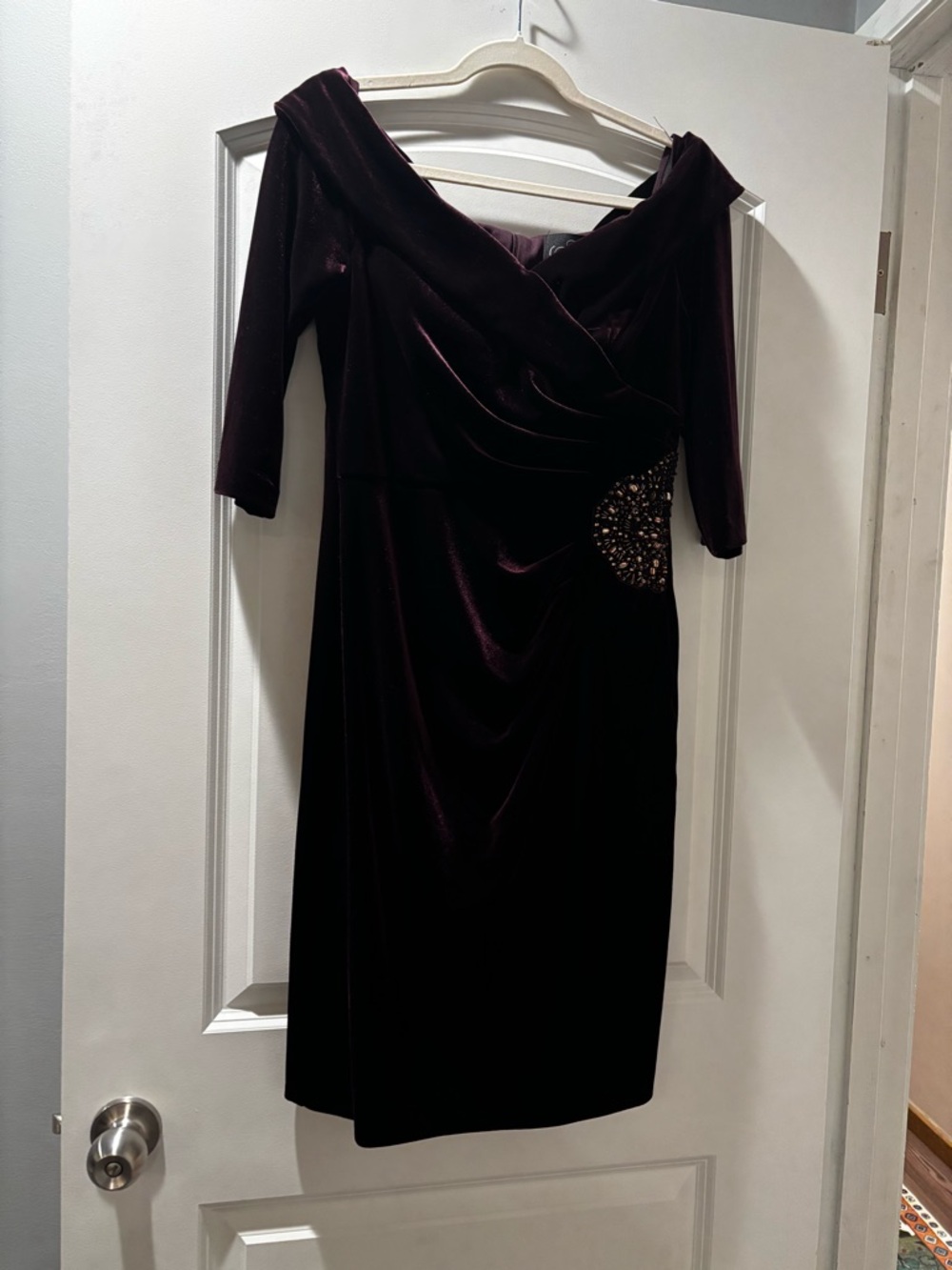 Alex Evenings Plum Velvet Midi Dress with Beaded Waist Accent